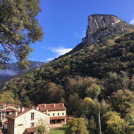 Albergue Cabrales Карренья-де-Кабралес Экстерьер фото