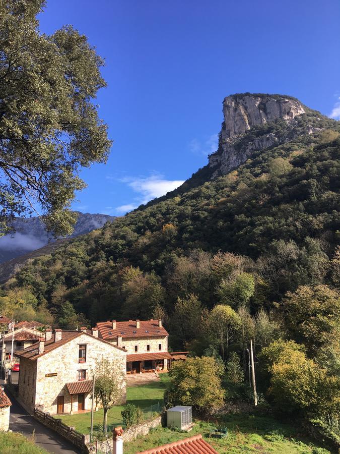 Albergue Cabrales Карренья-де-Кабралес Экстерьер фото